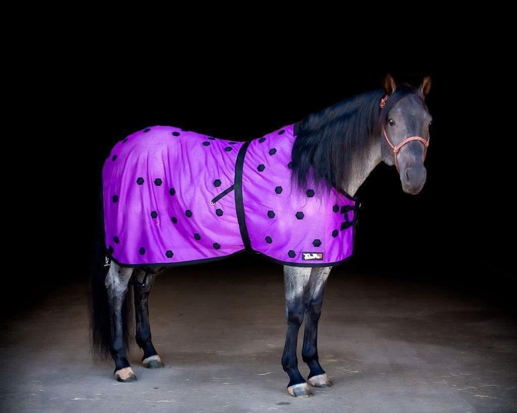 LIMITED EDITION Velocity Sheet - Purple