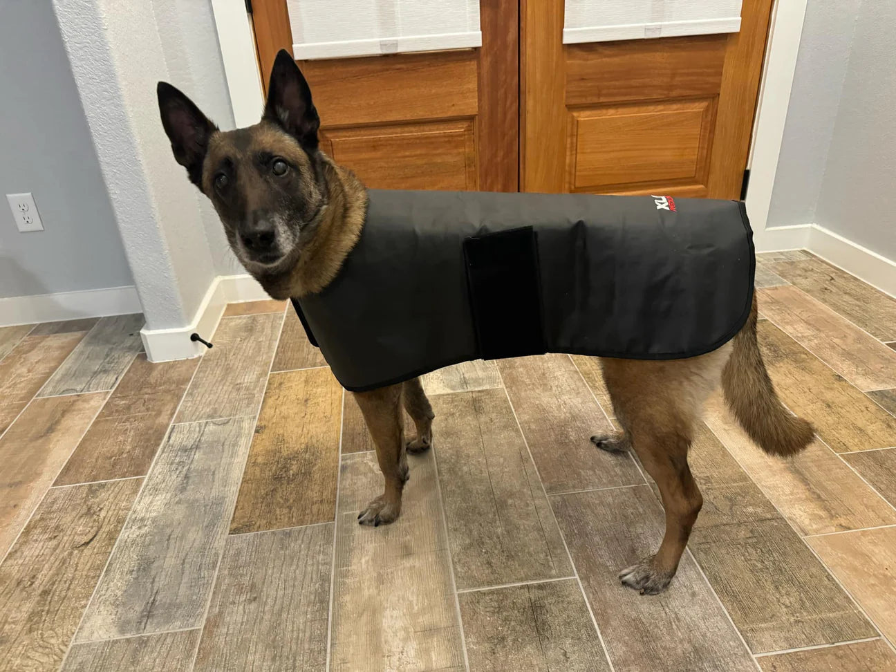 Redline Dog Wrap - Large