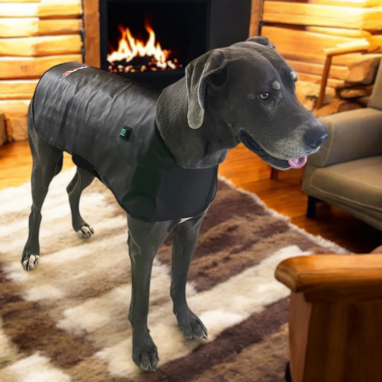 Redline Dog Wrap - Large
