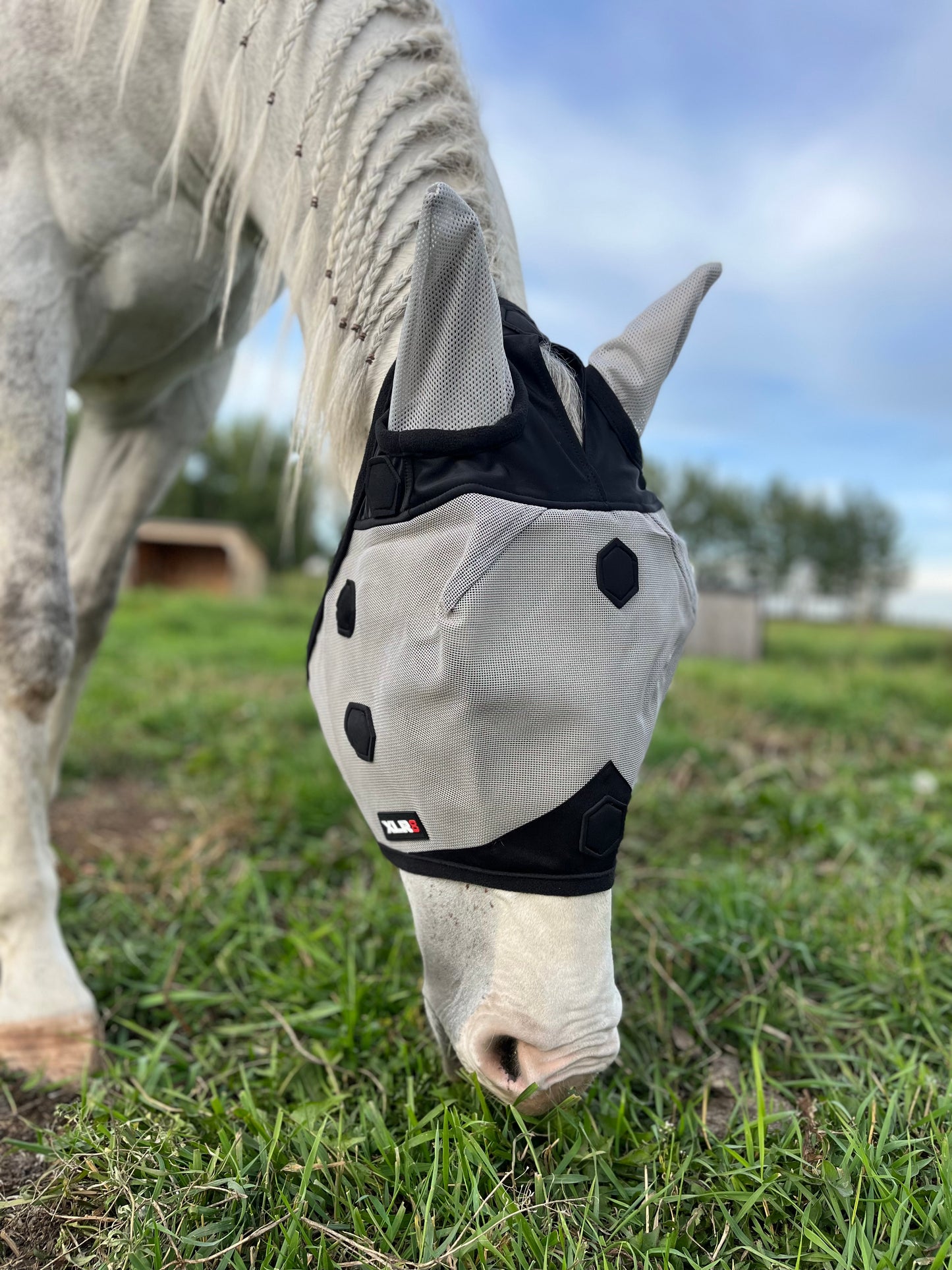 Fly Mask WITH EARS