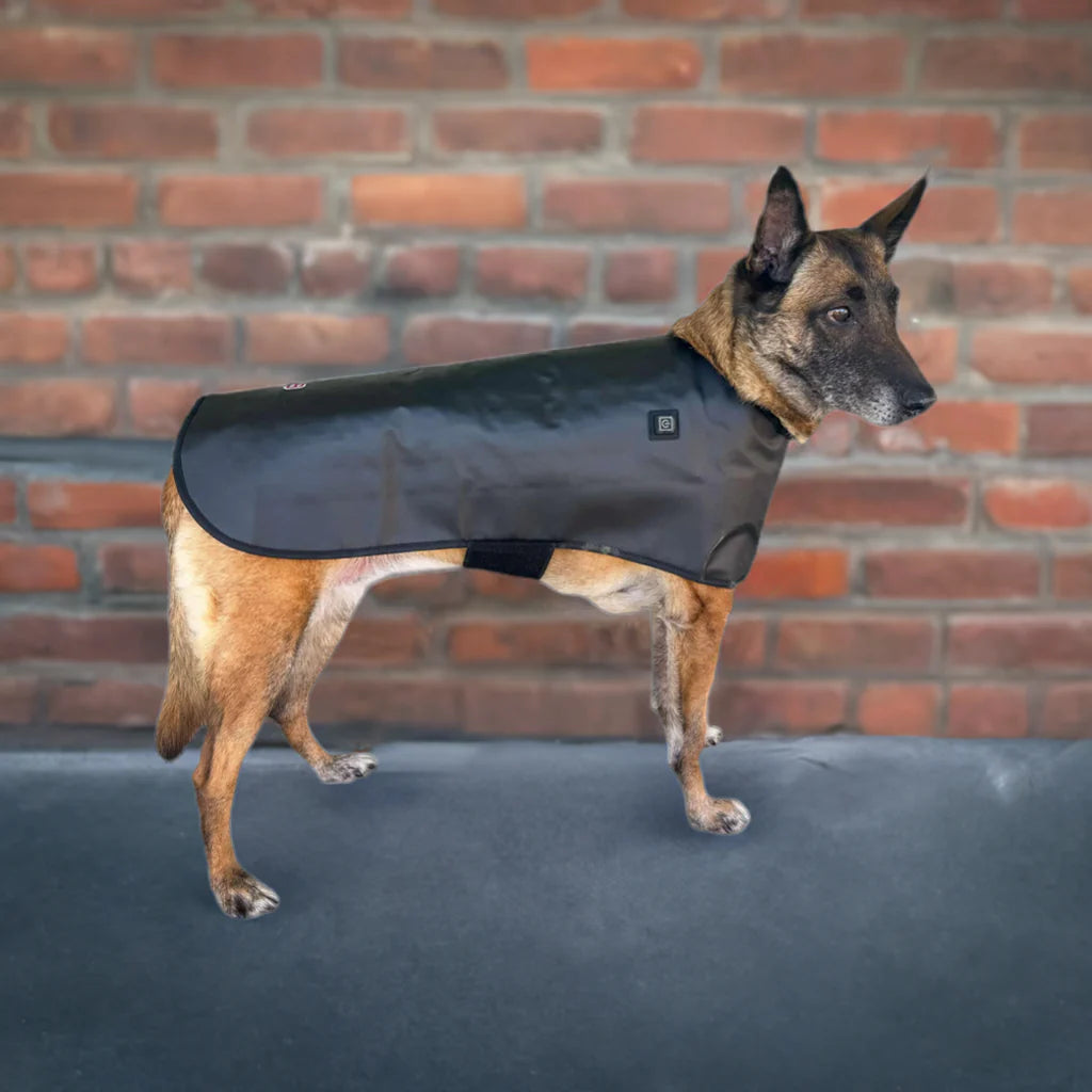 Redline Dog Wrap - Large