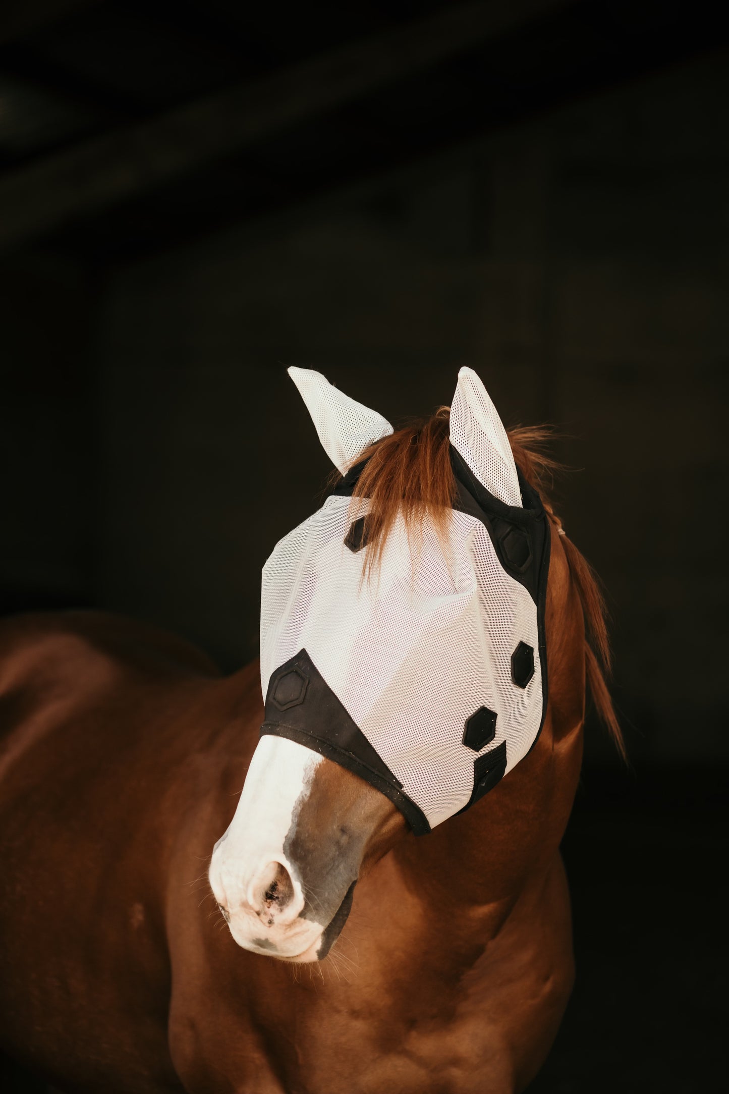 Fly Mask WITH EARS