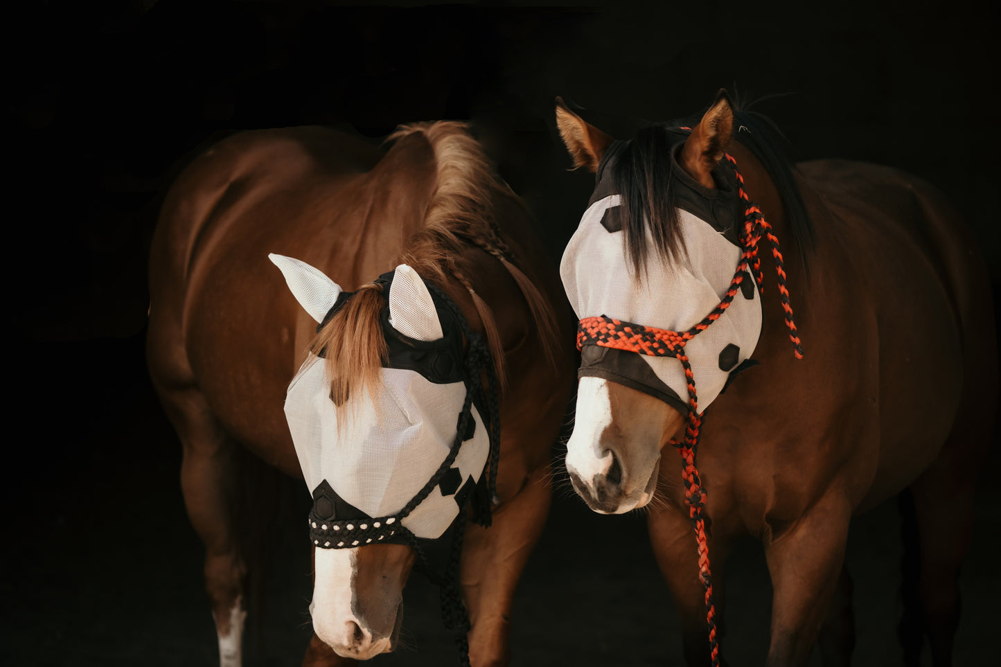 Fly Mask WITH EARS